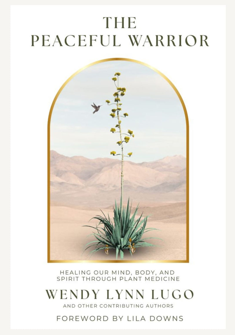 The Peaceful Warrior call for submissions-