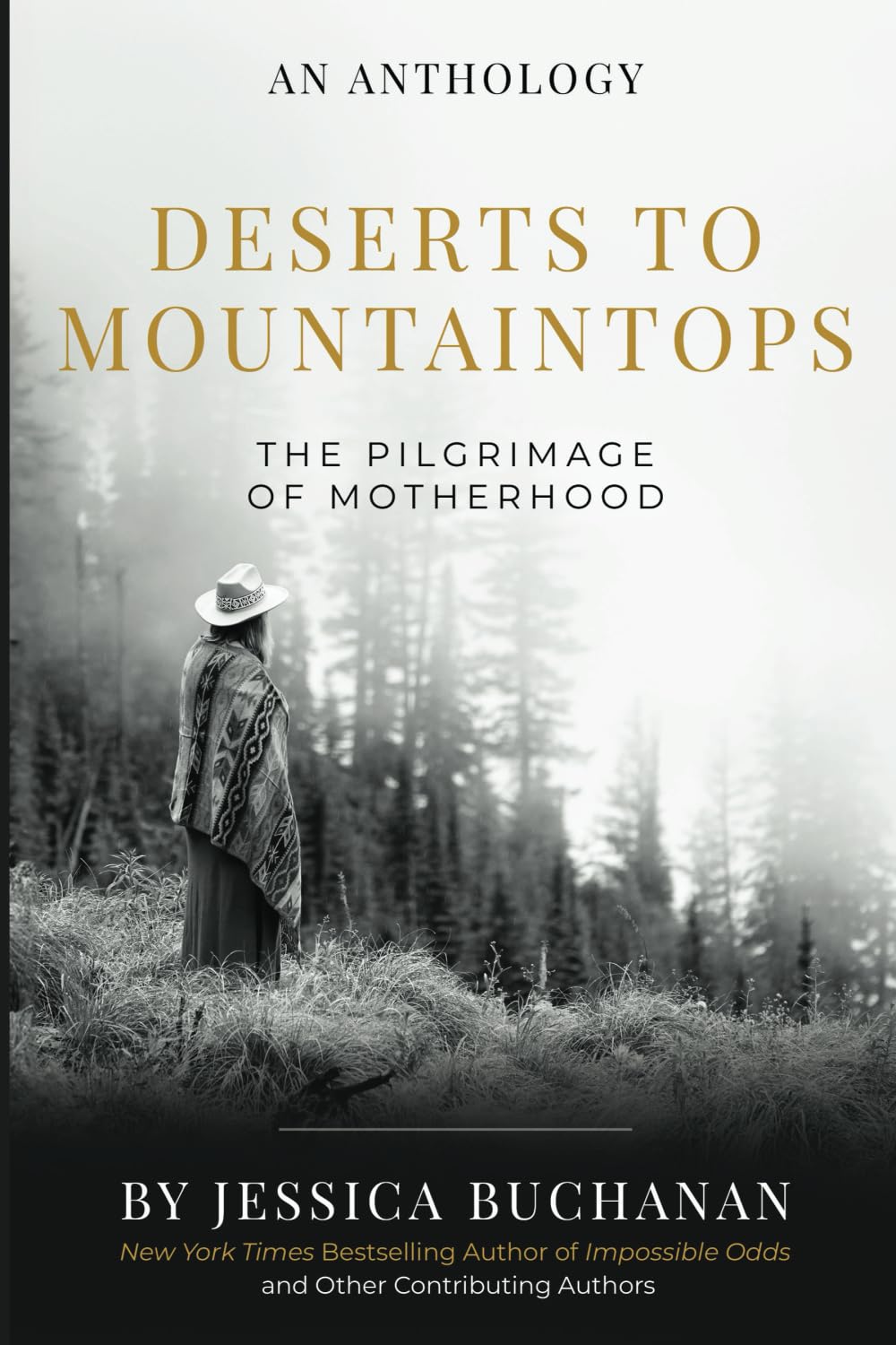 Desert to Mountaintops, The pilgrimage of Motherhood